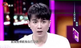 陈晓小说爆料最新,揭秘娱乐圈背后的惊人真相