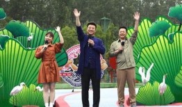 南京碎尸案爆料视频最新,揭秘背后惊人真相与警方调查动态